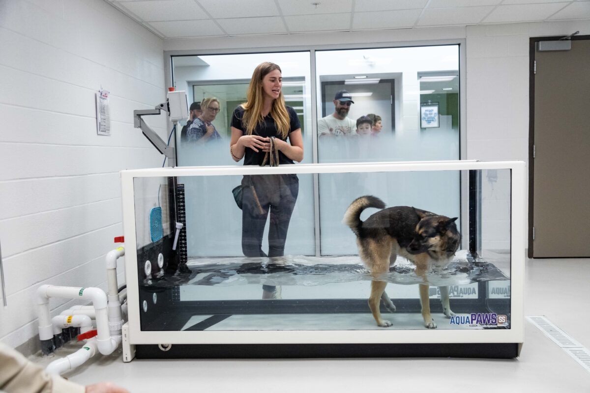 PDRC grand opening water treadmill