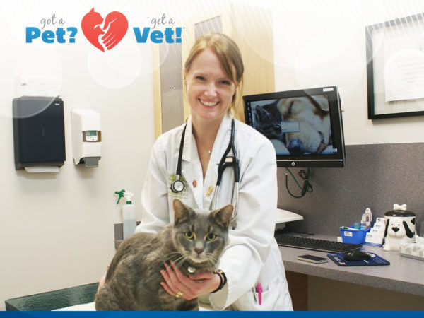 ontario SPCA, got a pet, get a vet