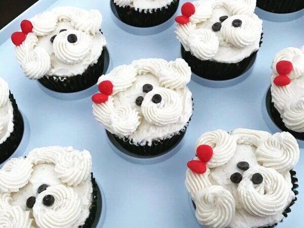 cupcakes, COVID, campaigns, dog cupcakes