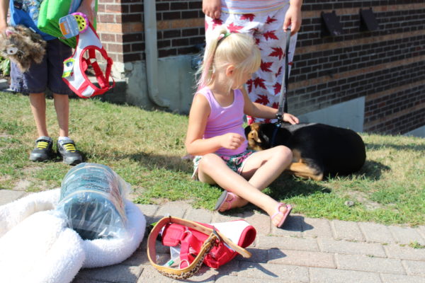 barrie housing corporation, ontario spca, wellness event