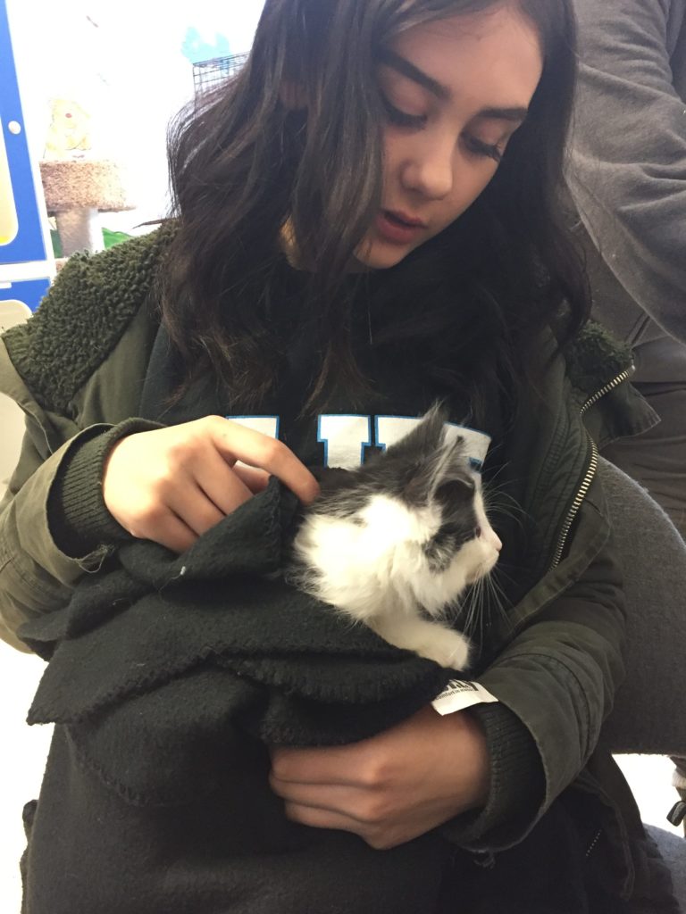 GTHS, ontario, humane ed