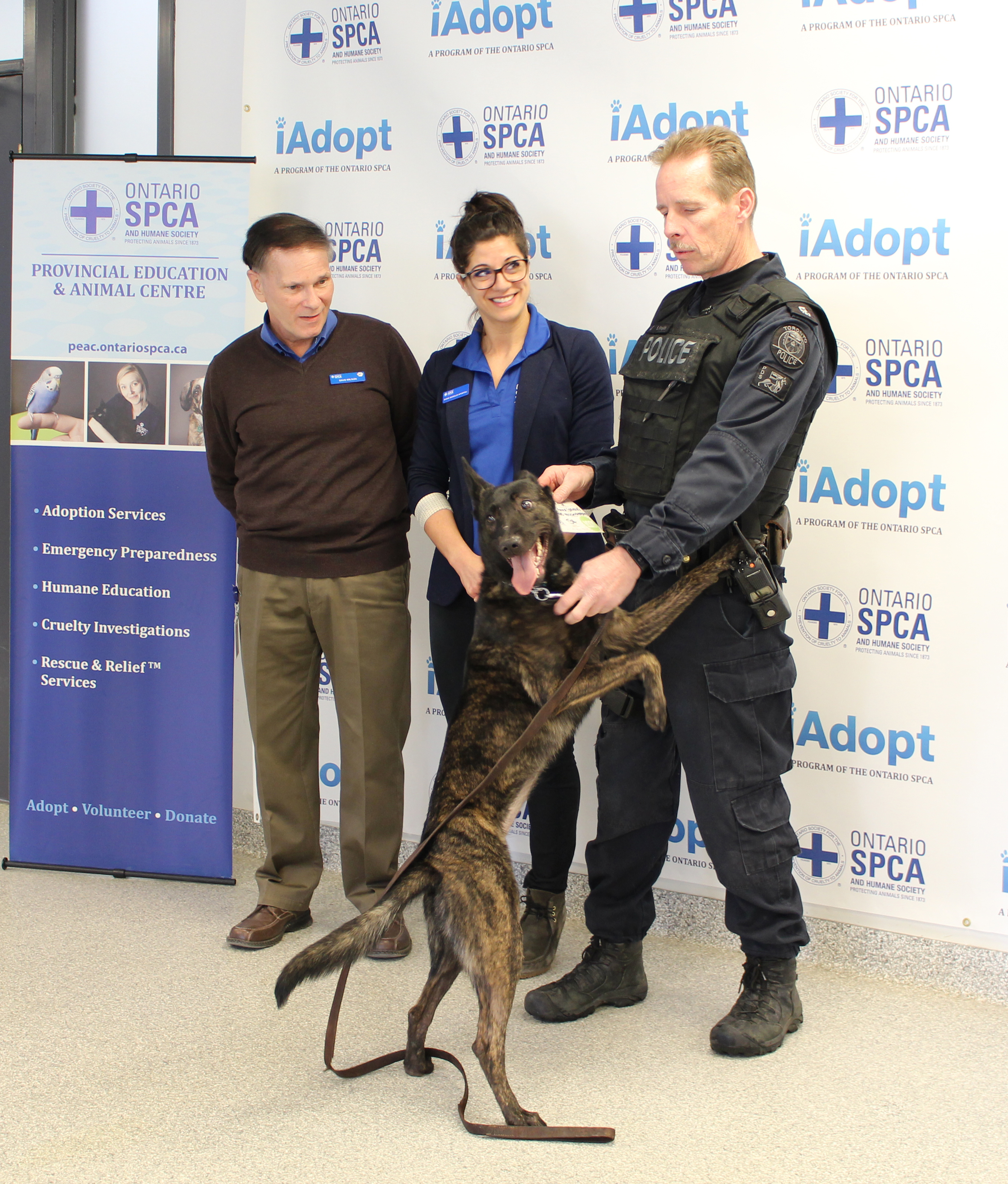 toronto police services adopt shelter dog