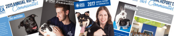 Annual Report