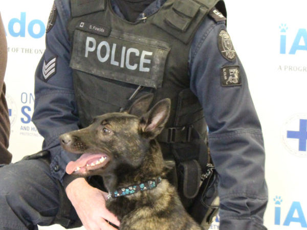 toronto police services adopt shelter dog,