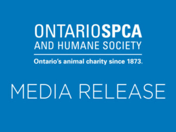 media release 135 US dogs