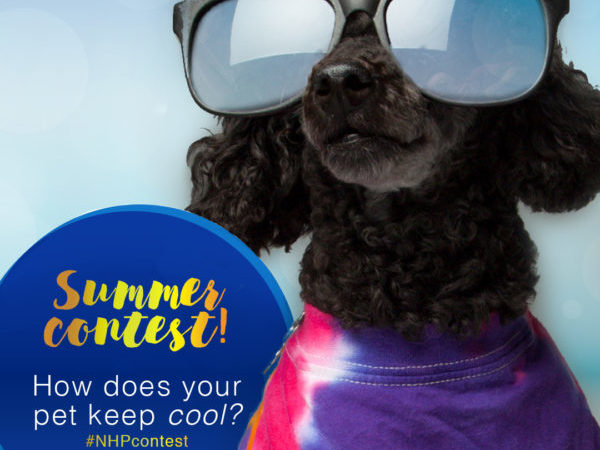 summer photo contest, ontario SPCA, pets