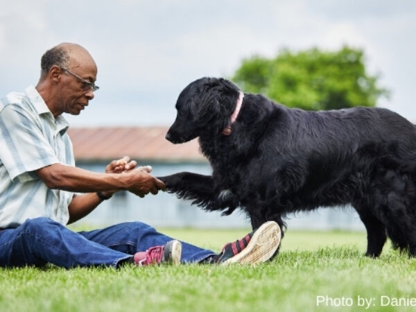 Penny, happy tails, adoption story