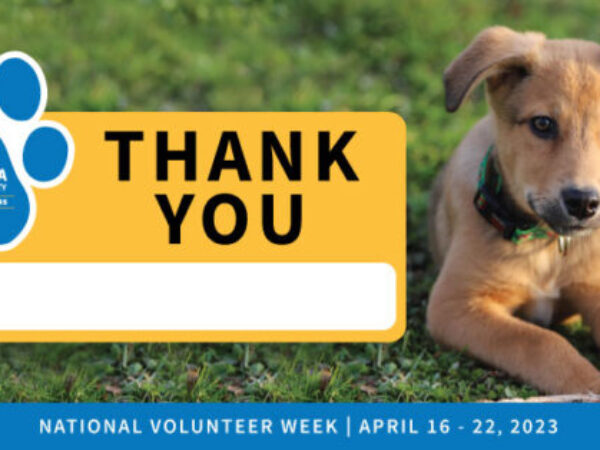 Volunteer week thank you