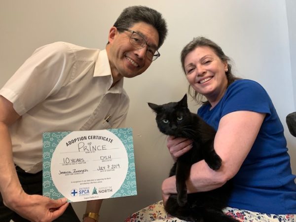 adopted cat, cat adoption