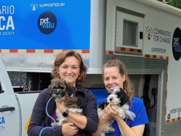 Team holding puppies