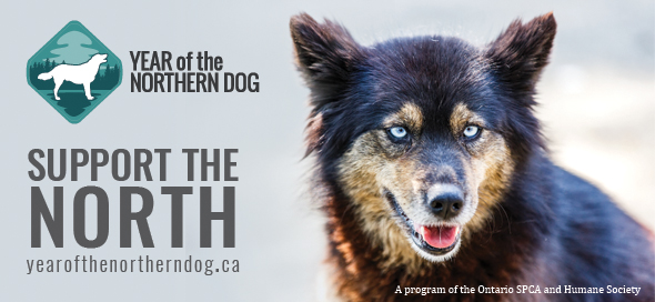 support the north, northern dogs, ontario spca, spca