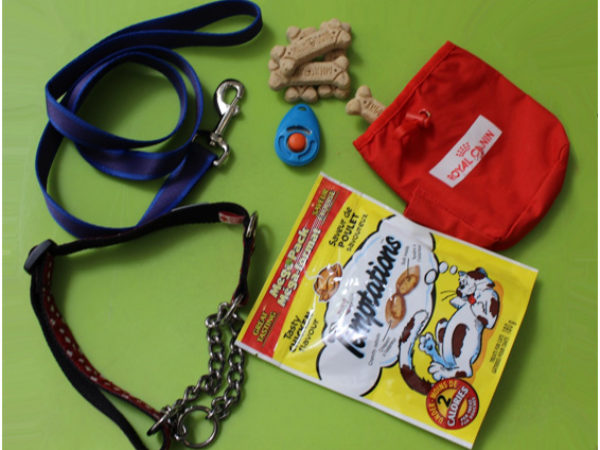 training tools, pet training