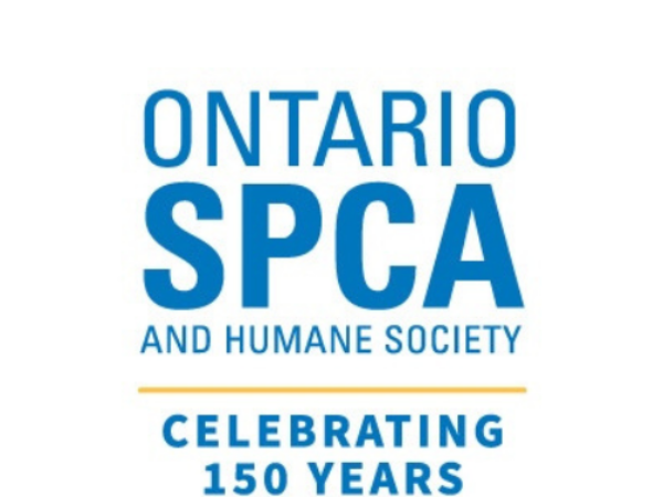 150 year logo