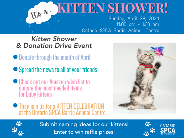 Barrie kitten shower