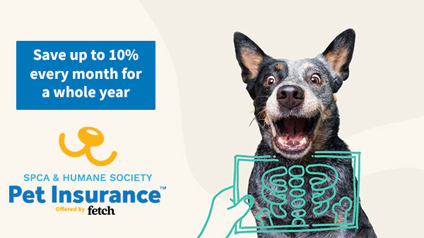 fetch 10% discount