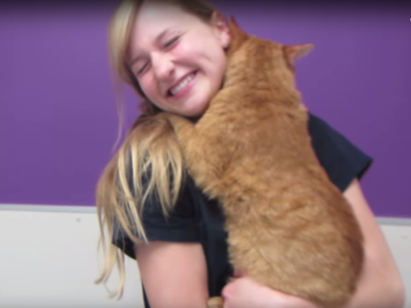 wulfgar the hugging cat, hugging cat, hug your cat