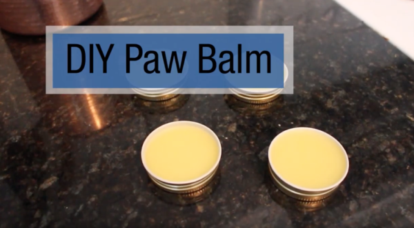 DIY Pet paw balm