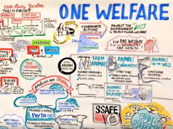 one-welfare-diagram